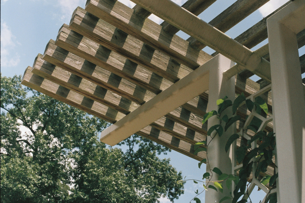 Enhancing Garden Privacy: Expert Tips on Trees, Trellis Panels, and Pergolas