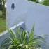 Architectural planting