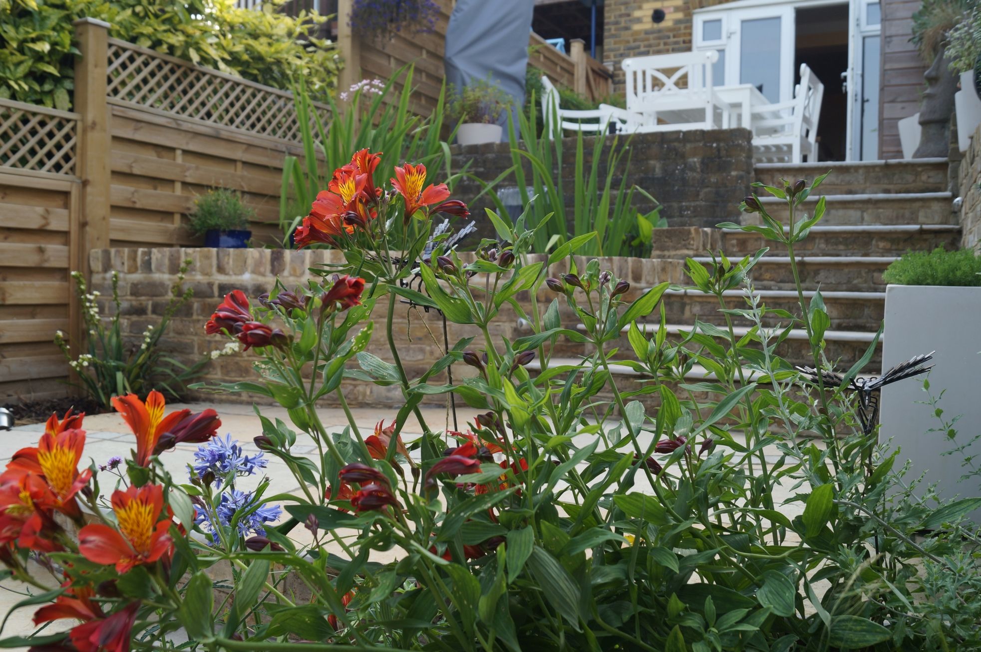 Terraced garden - Rochester